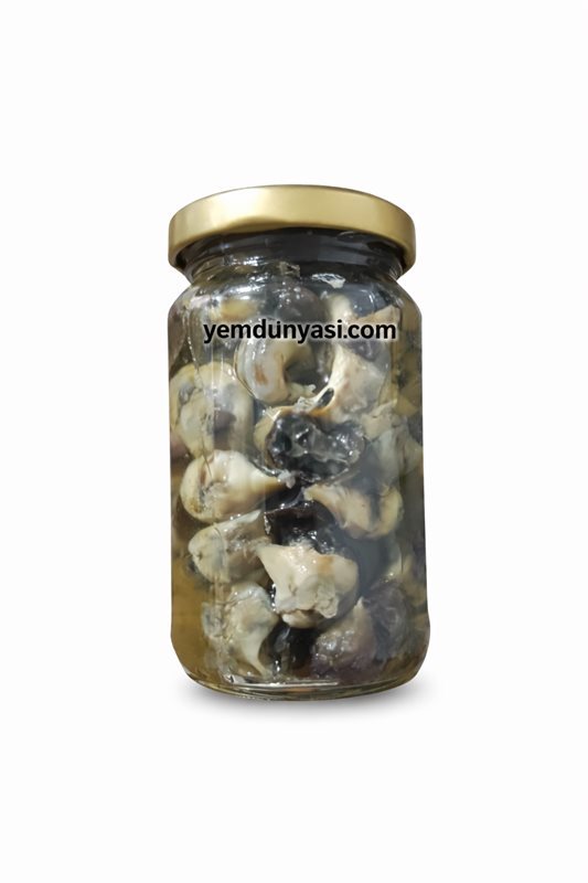 Salamura Madya 40 Adet