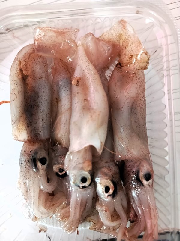 Beybi Kalamar (100 GR)