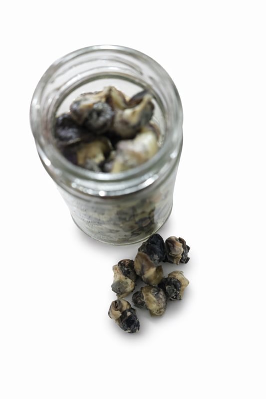 Salamura Madya 40 Adet