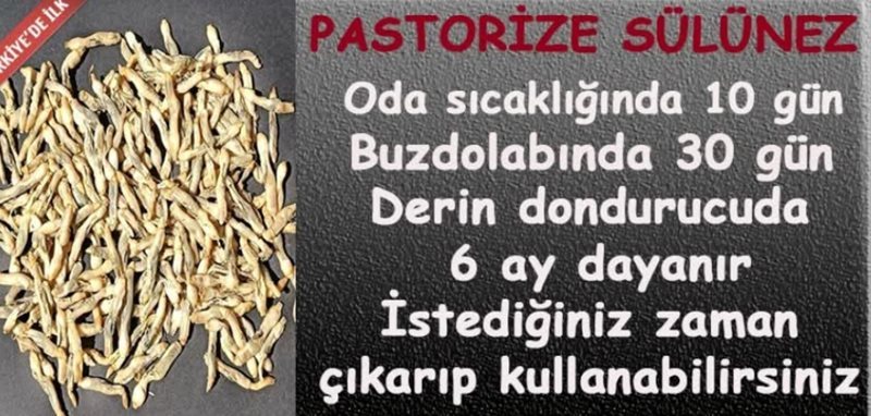 Pastiröze sülünez 100 adet