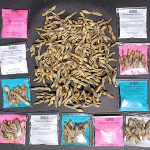 Pastörize Sülünez (15 Adet)