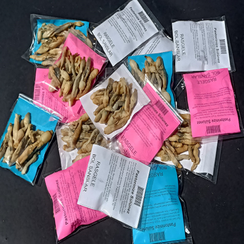 Pastörize Sülünez (15 Adet)