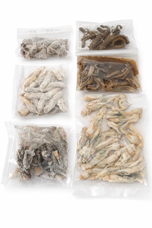 Deniz Balıkçılığı Premium Yem Seti