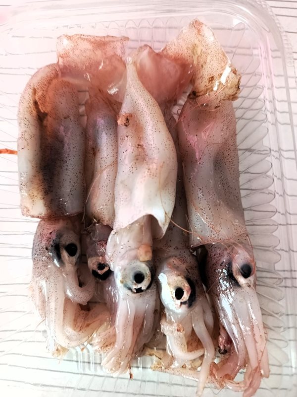 Beybi Kalamar (100 GR)