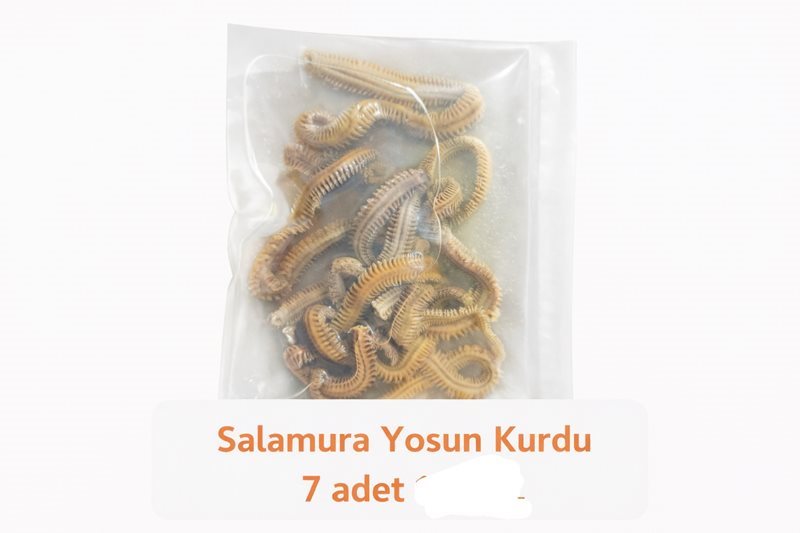 Salamura Yosun Kurdu (7 Adet)