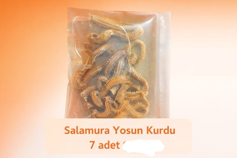 Salamura Yosun Kurdu (7 Adet)
